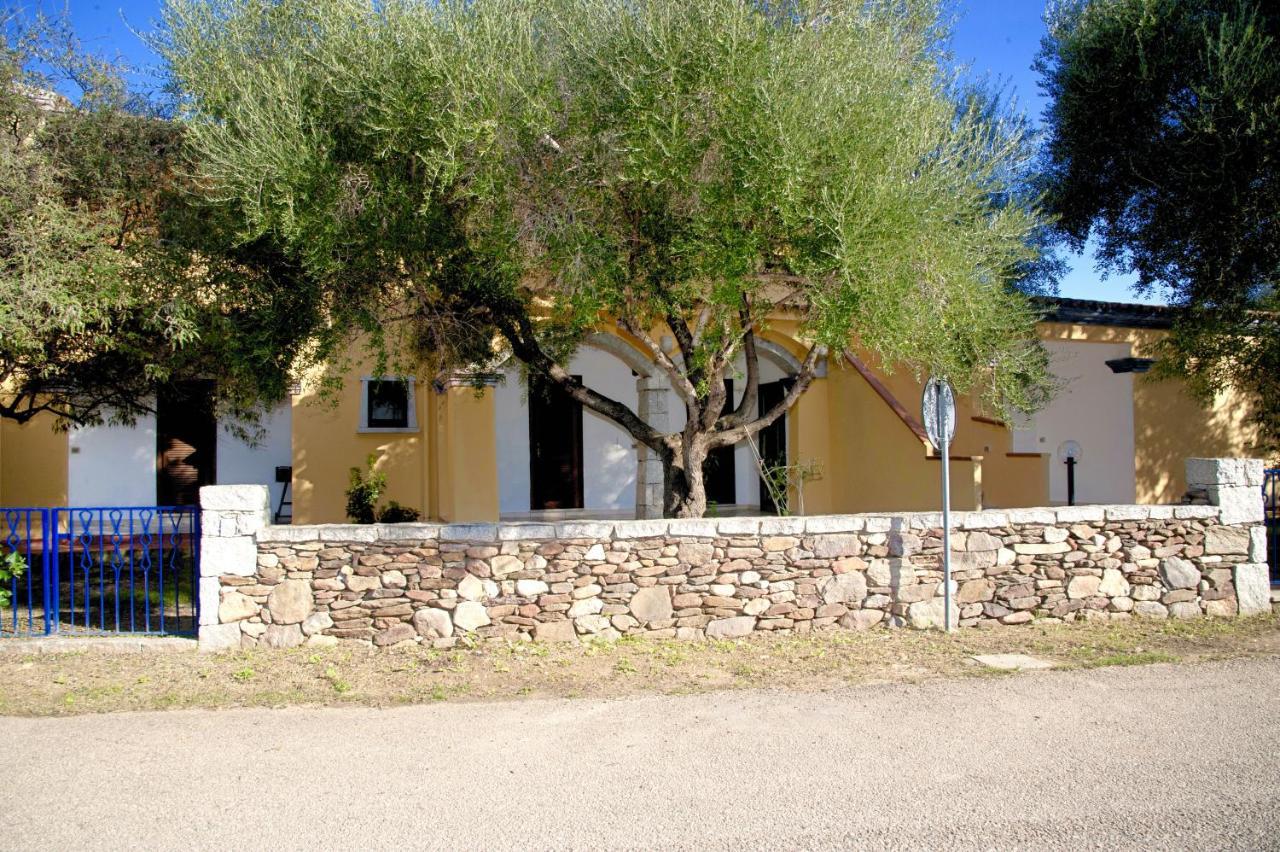 Residence Oasi E Oasi Blu San Teodoro  Exteriér fotografie