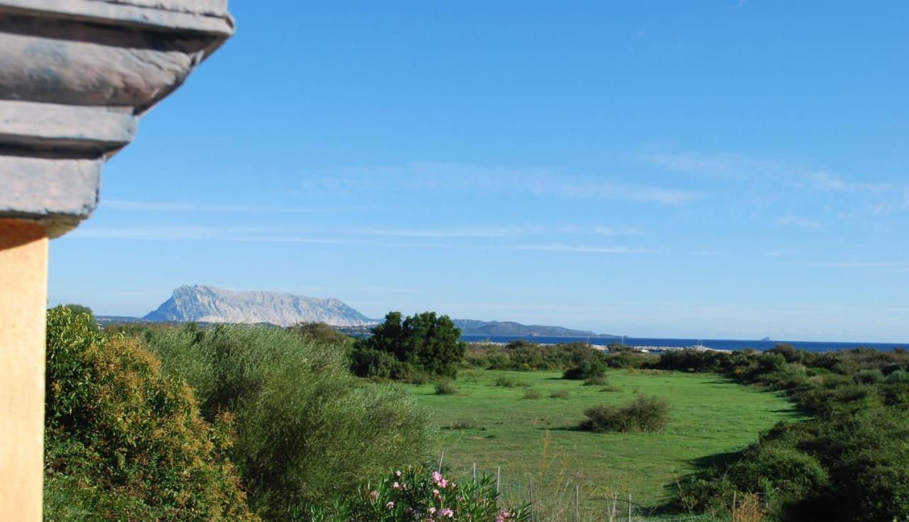 Residence Oasi E Oasi Blu San Teodoro  Exteriér fotografie