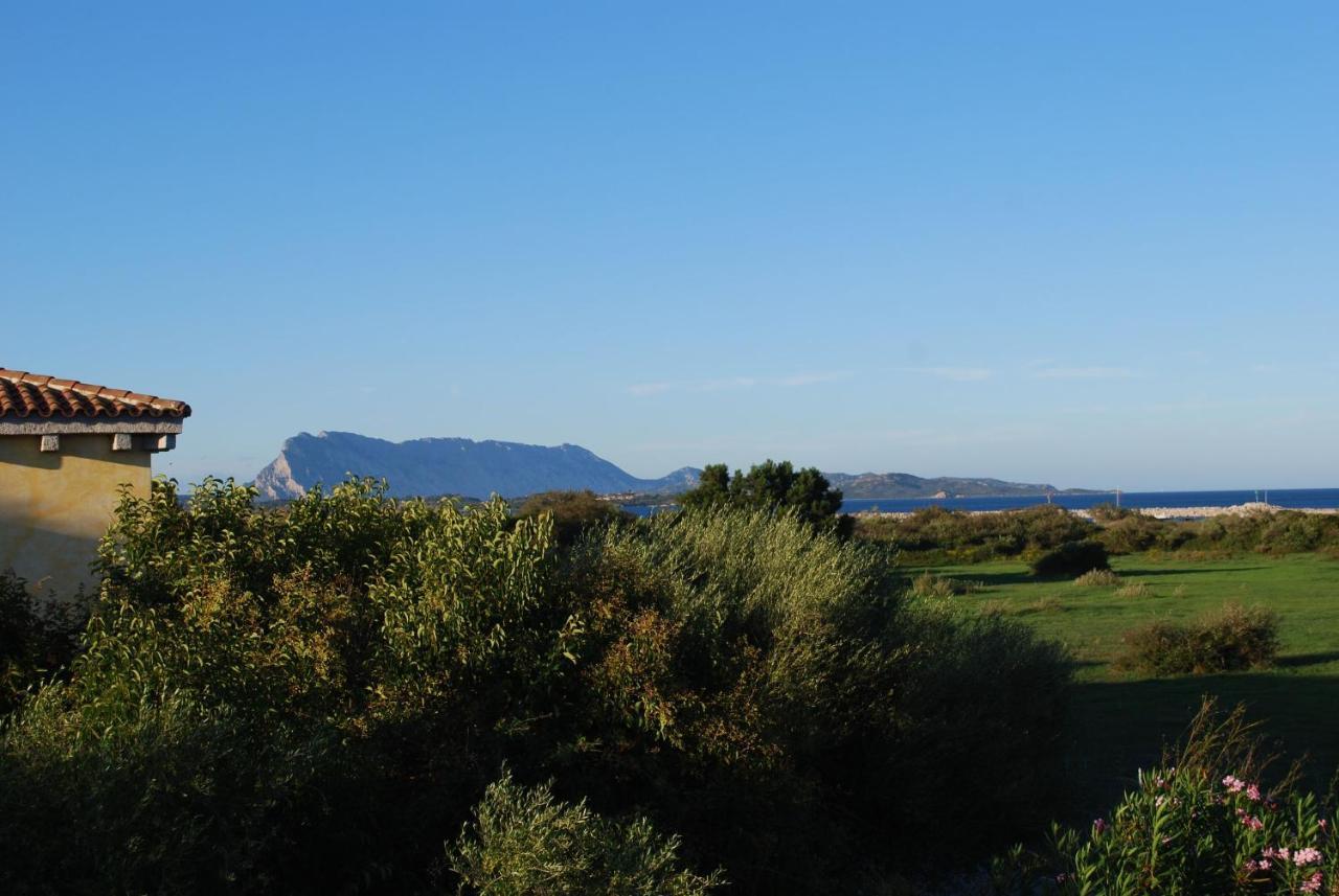 Residence Oasi E Oasi Blu San Teodoro  Exteriér fotografie